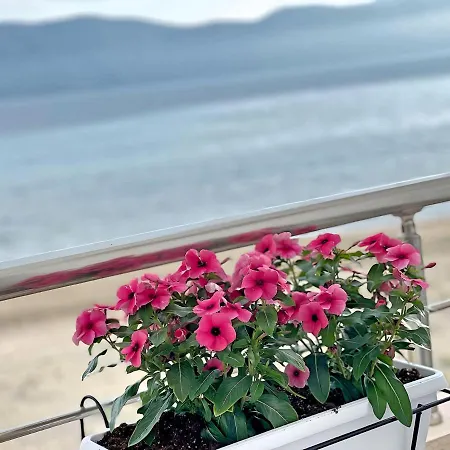 Seaview Apartament *