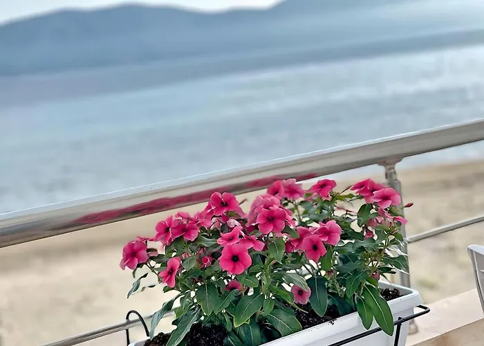 Seaview דירה *